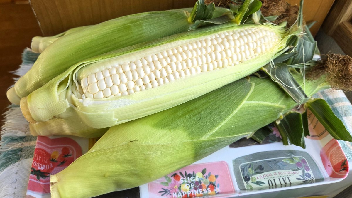 AndrePapiss's tweet photo. 今日の仕事は集中攻撃にあったけど、なんとか乗り越えたので、ご褒美に勝利を🏆 https://t.co/8rU6ogoyjr