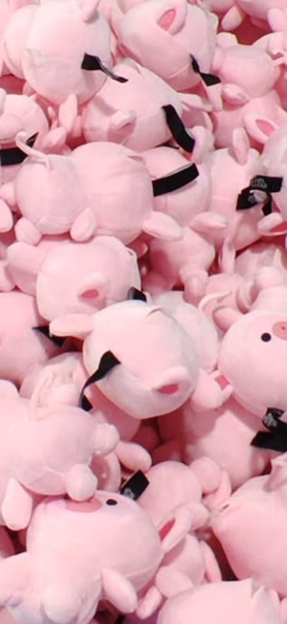 Crittersmarket's tweet photo. Oh, hi there... CRITTERS!!! https://t.co/i6e0UZUASK