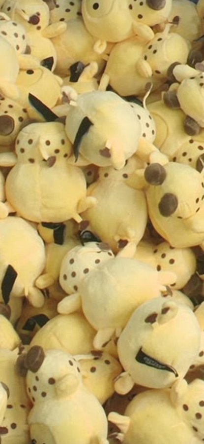 Crittersmarket's tweet photo. Oh, hi there... CRITTERS!!! https://t.co/i6e0UZUASK