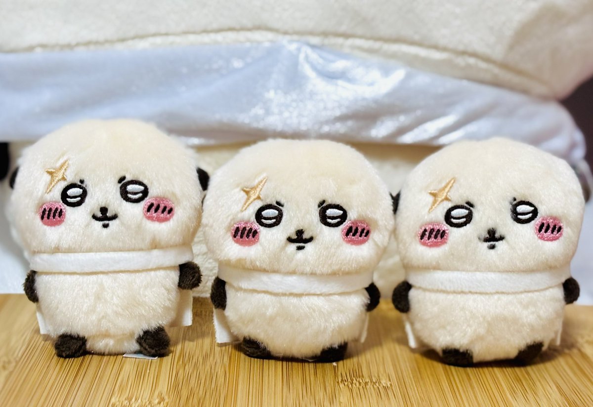 Poki_man0712's tweet photo. 我が家には小さなラッコ先生が3人います。
どの子がいつも写ってる先生でしょうか。 https://t.co/N4tOhZwX44