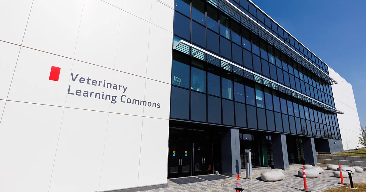 Veterinary Learning Commons at UCalgary's Spy Hill campus.