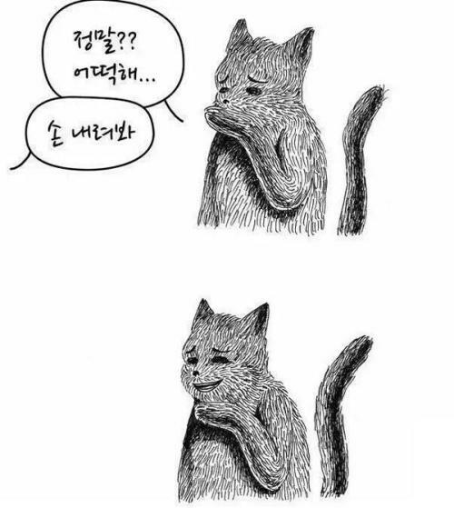 EylofMsg's tweet photo. 뢴트게늄의 고해성사 듣는 세구 https://t.co/8etMcg920Z