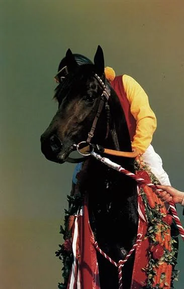 Umacuriosidades's tweet photo. Hoje é 21 de agosto, é o aniversário de morte do Maruzensky

Ele se foi hj em 1997 aos 23 anos por uma parada cardíaca; no dia ele estava fazendo uns exercícios, do nada relinchou e acabou colapsando e falecendo.

Uma morte bem abruta infelizmente, descanse em paz, Maruzen. https://t.co/JMIiPFBsmH