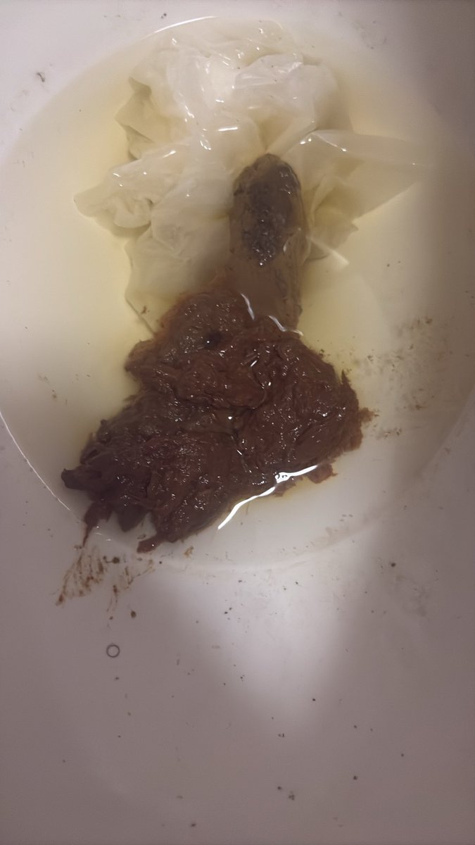 jifflypuff's tweet photo. this felt good https://t.co/p9JOyrHMbv