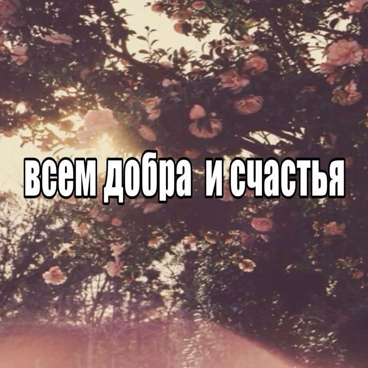 sinnkiit's tweet photo. всем спокойной ночи!!!
желаю… https://t.co/AosI7VJMao