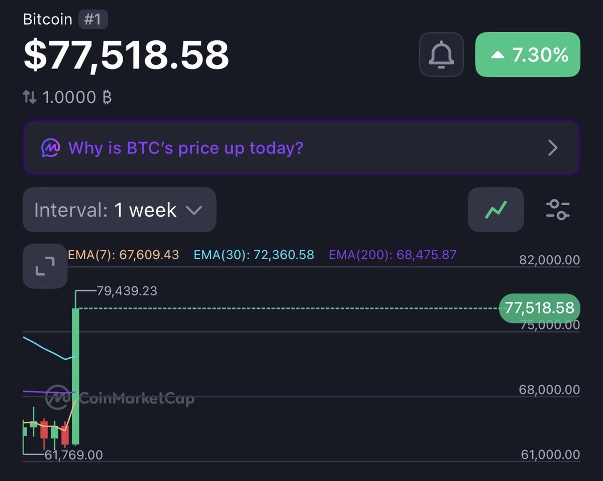 CryptoMaxisNFTs tweet picture