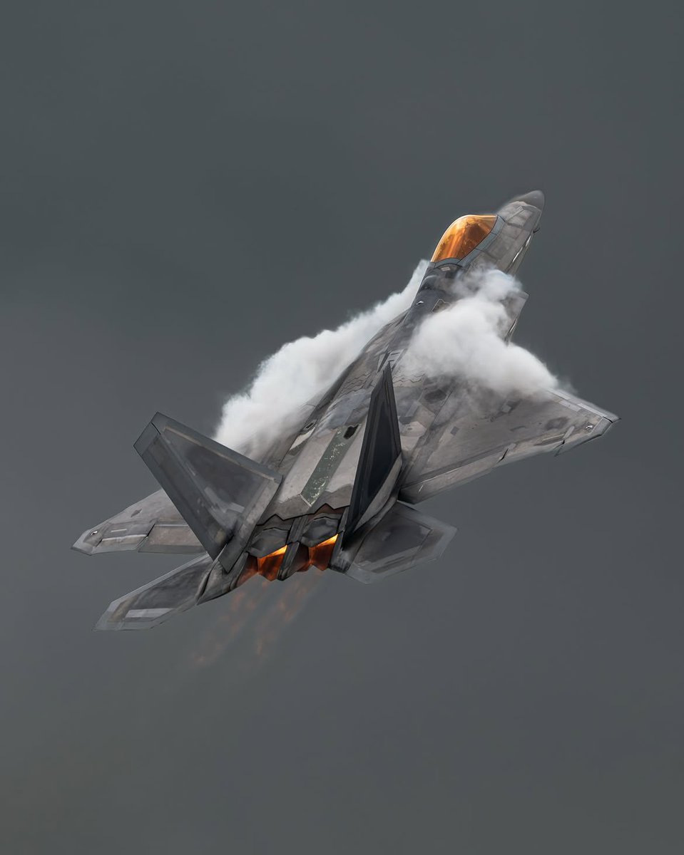PlatypusX9's tweet photo. F-22 Raptor!🔥😮‍💨 https://t.co/QRpwe04BdF