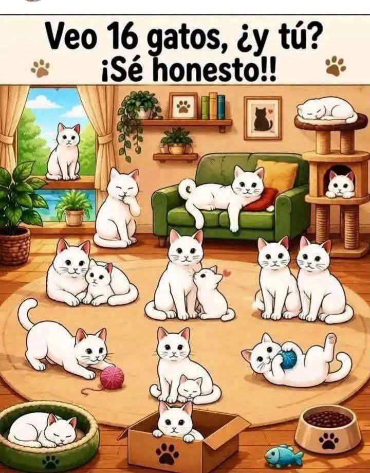 Isabel66991411's tweet photo. #observamos https://t.co/kljxbZMX4C