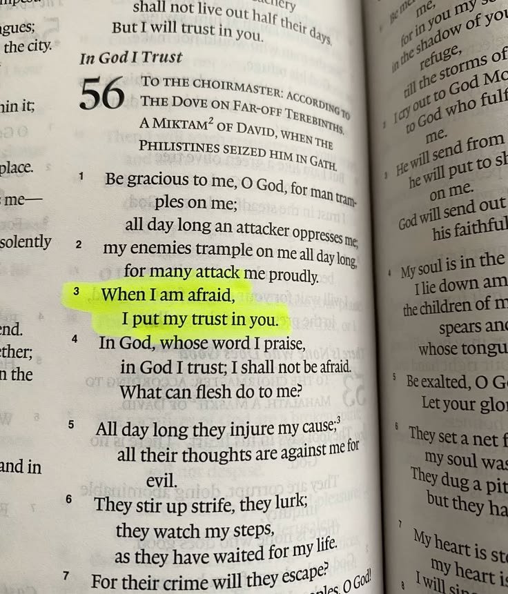 christ_the_son's tweet photo. Trust God https://t.co/OESXdxnPZj