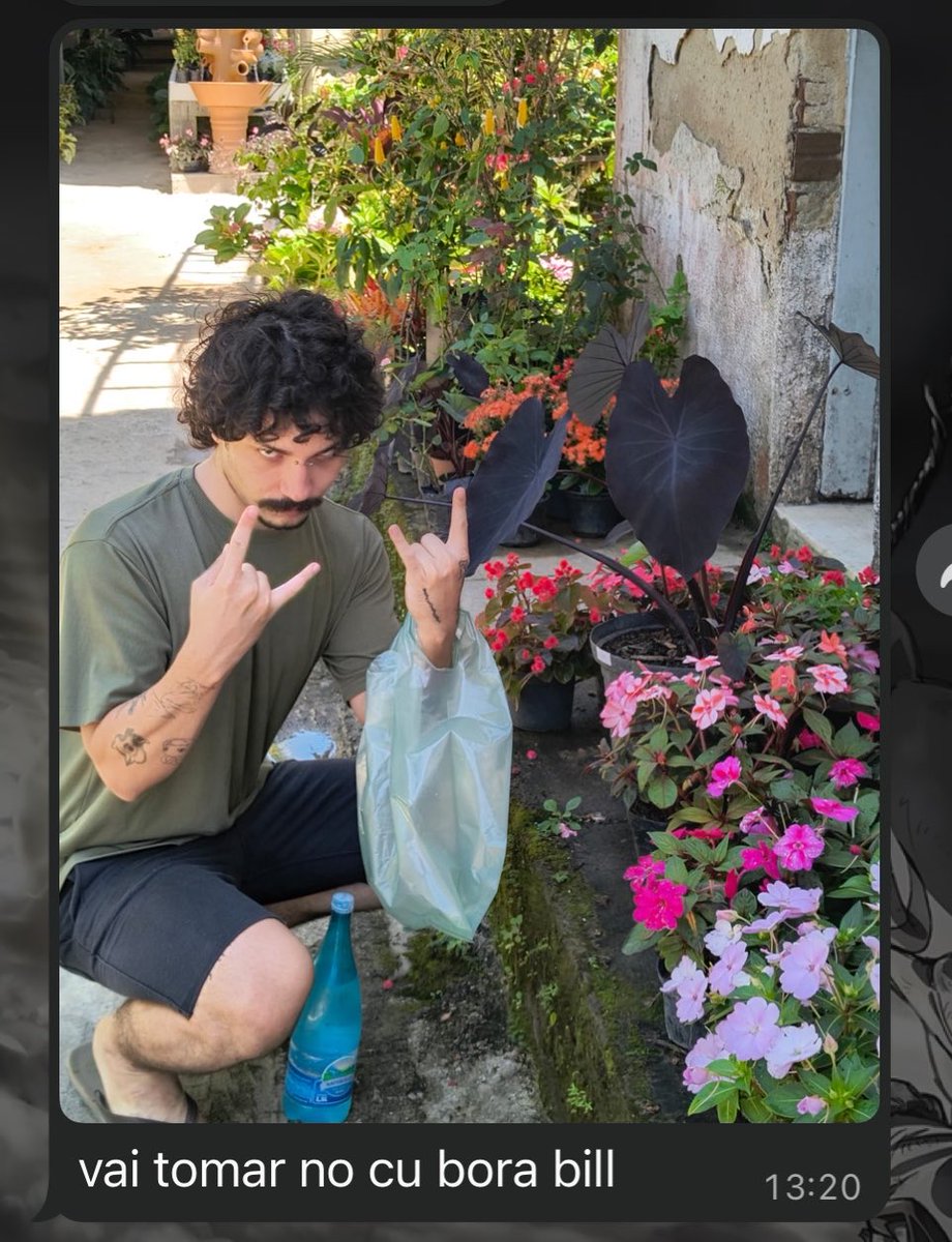 evaevelice's tweet photo. e meu amigo bufunfas que achou uma flor preta https://t.co/eSBR5zla0C