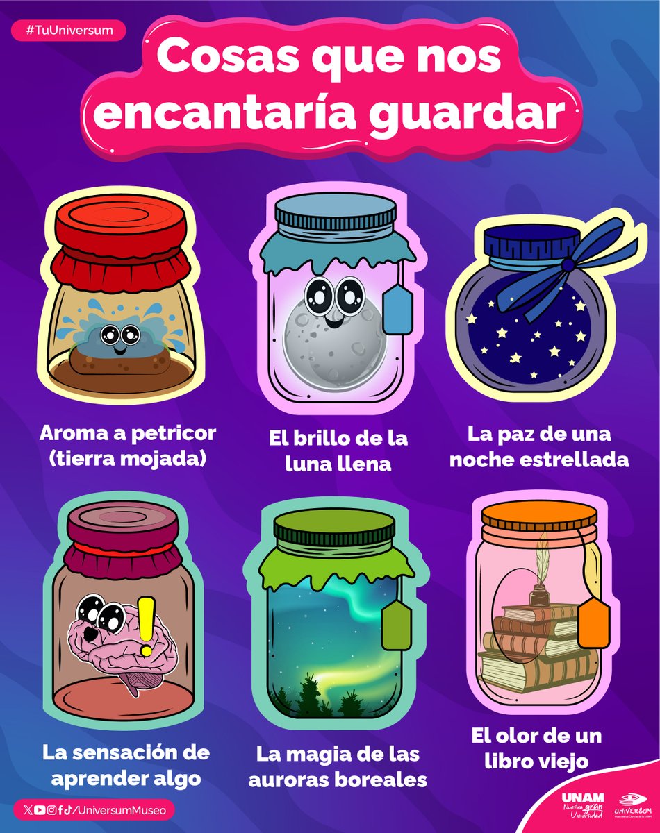 UniversumMuseo's tweet photo. ¡Sería maravilloso! 🤩🥰💙
Cuéntanos qué te gustaría guardar a ti

#TuUniversum https://t.co/EJWiGmeTey