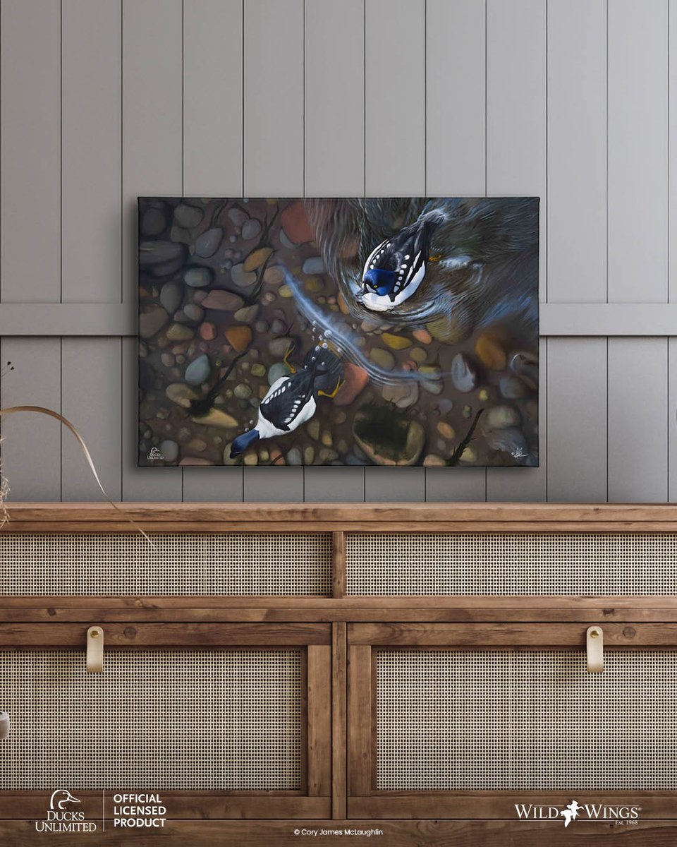 WildWings2's tweet photo. 🦆🌿 Art and conservation share a purpose: protecting the landscapes that inspire us. Explore wildlife art inspired by conservation, with a portion of every purchase supporting these habitats. https://t.co/z1OqzFNFMT
#WildWings #DucksUnlimited #WildlifeArt #Conservation https://t.co/HyapjLLfwP
