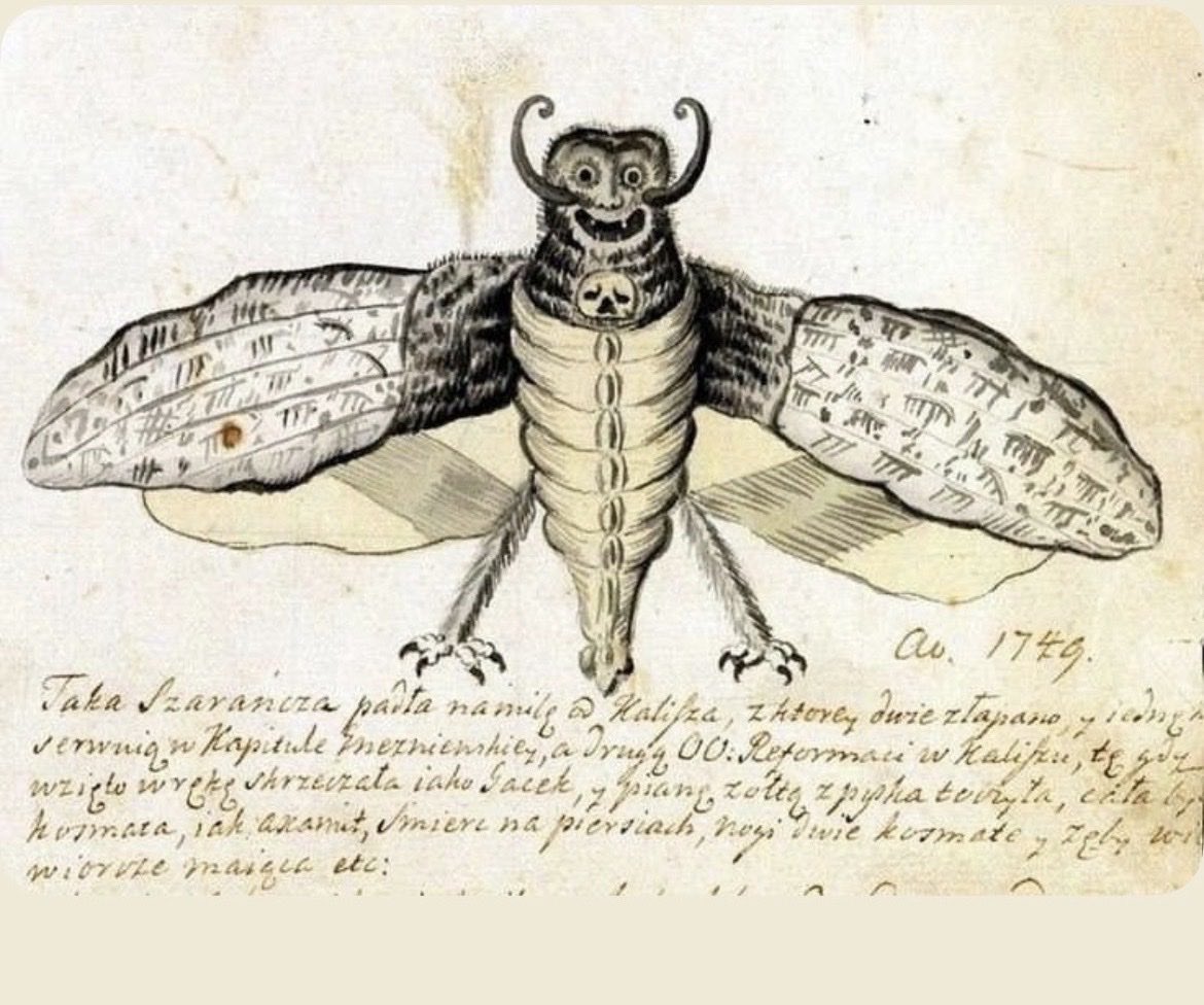 Plantagenet1455's tweet photo. This 1749 Polish drawing depicts a strange “locust” (szarańcza) reportedly seen near Kalisz. The accompanying description portrays the creature with a human-like face, horns, squirrel-like teeth, and a velvety body that allegedly screeched like a bat. https://t.co/9wei6QBw3f