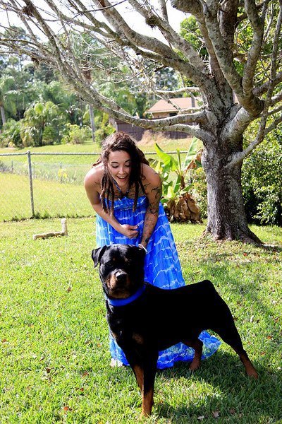 TheRAlyssa's tweet photo. Caught my furry sidekick photobombing (or stealing) the spotlight again🐶😋 https://t.co/kDpl7lKPiQ