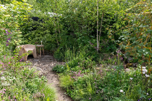 UWeinkauff's tweet photo. Designer Ashleigh Aylett shares her favourite trees to bring a sense of the delicate beauty of ancient woodland to your own garden. https://t.co/LQR8lcbiyk https://t.co/gExzOIEkXX