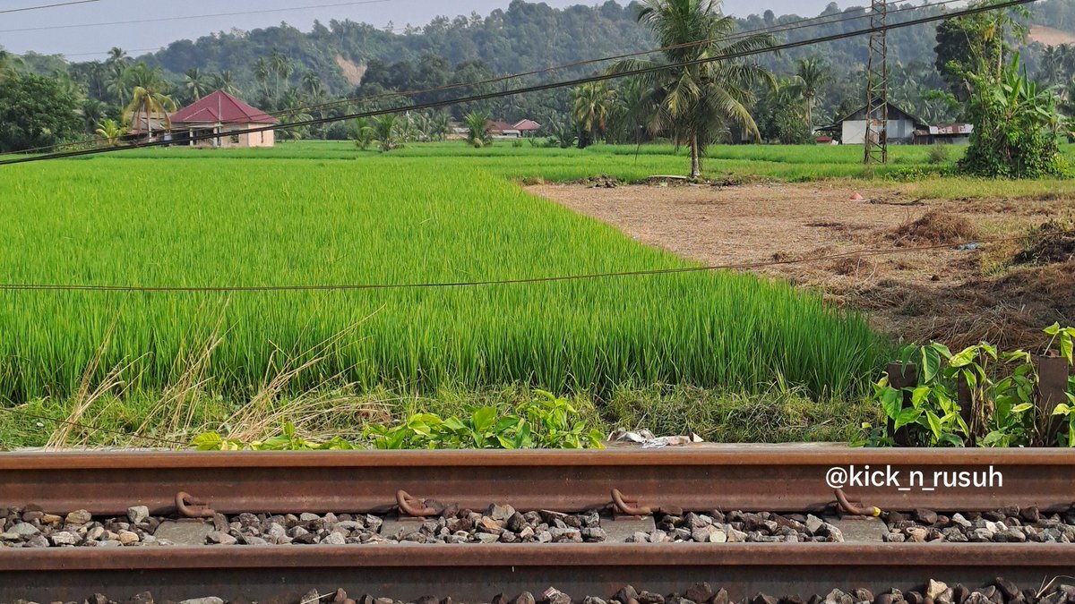 kick_n_rusuh's tweet photo. #intermeso
rehat sejenak dari hingar-bingar timeline atas kemenangan @Arsenal dini hari tadi ๐ฅฐ
Ayo tebak ini area persawahan di mana? https://t.co/cBb8ac9A5c