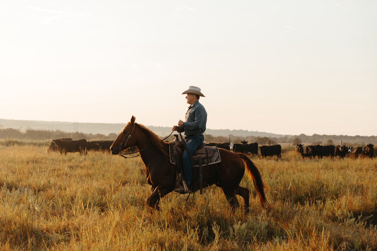gentnerdrummond's tweet photo. I’m a rancher. I know firsthand what it takes to raise cattle, make a living, and keep a family operation going.

I’ve worked alongside President Trump when his policies are right for Oklahoma, but I’ll stand up to anyone when they’re wrong.

Flooding the market with foreign cattle hurts Oklahoma farmers and ranchers who work every day to produce the best beef in the world.

As Governor, I’ll stand with the people who work this land, protect Oklahoma agriculture, and always put Oklahoma producers first.