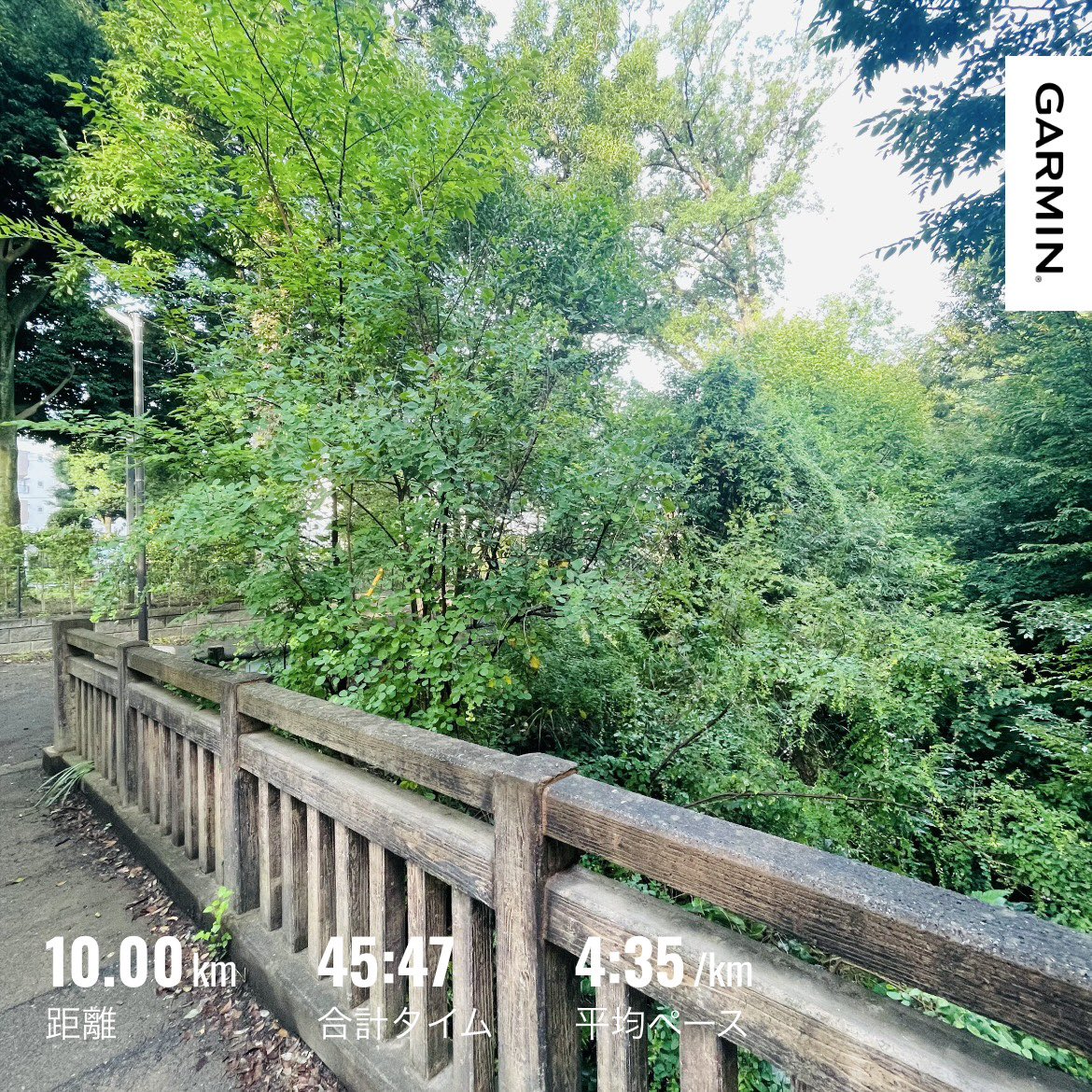 NakanoYusuke5's tweet photo. 朝ラン@玉川上水🏃‍♀️
２カ月半のリフォーム工事が終わり、あす自宅に戻ります💨 https://t.co/Ta0b7tBPeO