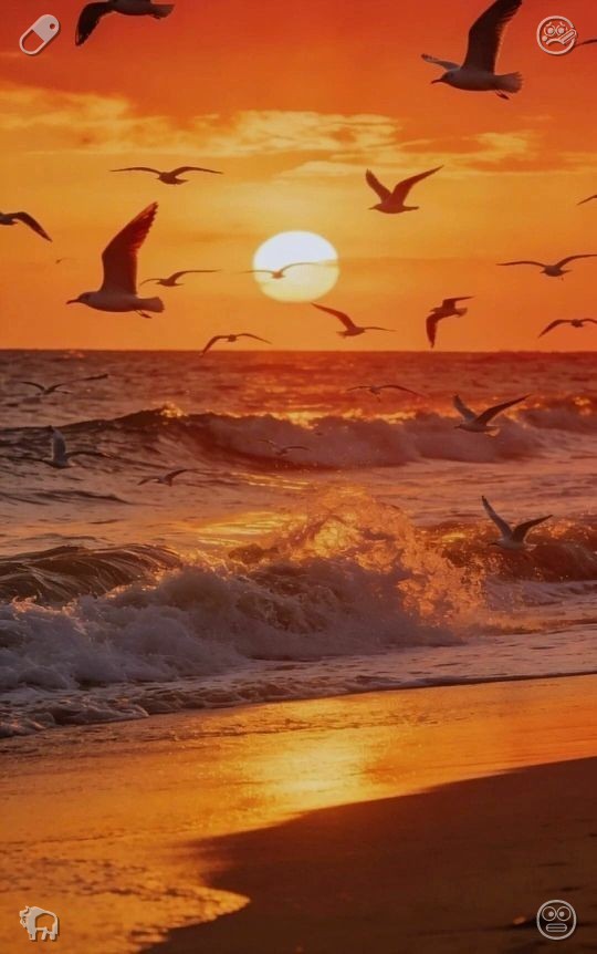 marin0520's tweet photo. When your personal growth hits a standstill, take a full stop, regroup, and untangle the clutter of mixed-up priorities. Calm the noisy mind, then begin anew with tranquility, moving steadily toward the deep, enduring dreams that matter most to you. Today: work with delight and https://t.co/0TCJ9IP6HD