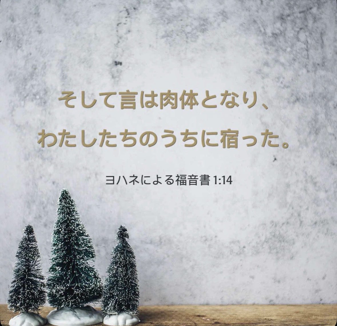 ricopon's tweet photo. https://t.co/klPsHeFkGT