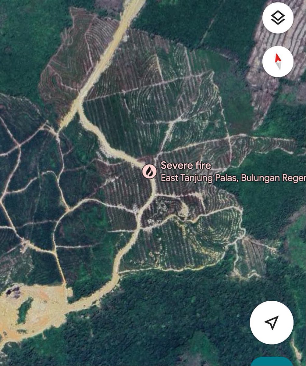 gIikowings's tweet photo. udah keliatan polanya. 🙂

kalian lihat yang ber-pattern itu apa?
yap, KEBUN SAWIT. 

beberapa hotspot sepertinya memang disengaja buat NGEBUKA dan MEMPERLUAS lahan sawit. 🙂

apakah ada hubungannya sama megaproyek Bioetanol itu? 

jahat. dzolim. serakah. https://t.co/qsWAPjykYn