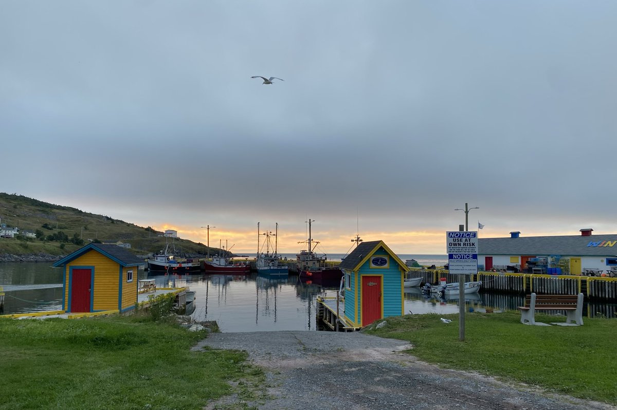 CorinaJReid's tweet photo. Some Evenin'!
H๐งกME!
#Winterton #TrinityBay #NLwx #ShareYourWeather https://t.co/k4vyyjvQg1