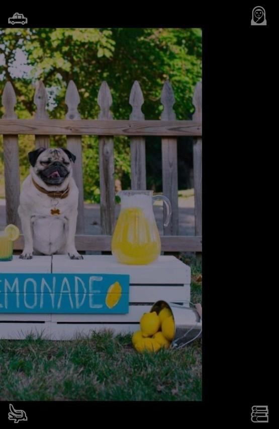 adisneya's tweet photo. 🏌Sketch a portrait of a companion Lines, charming184167Motorcycle showcase Moto, swift https://t.co/4GyfcjgOpe