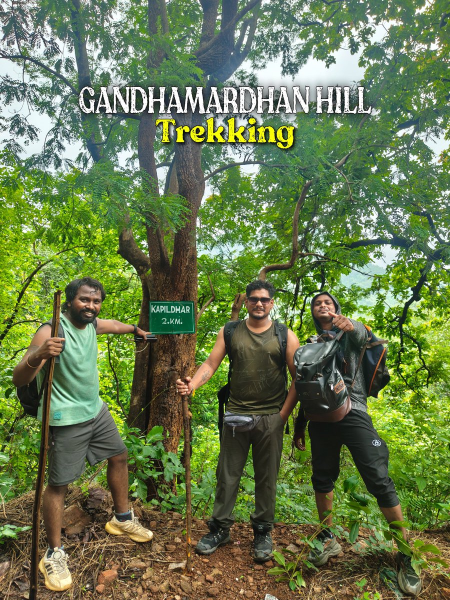 rajusingh02's tweet photo. Gandhamardhan hill trekking https://t.co/rCpcpK5Bmh