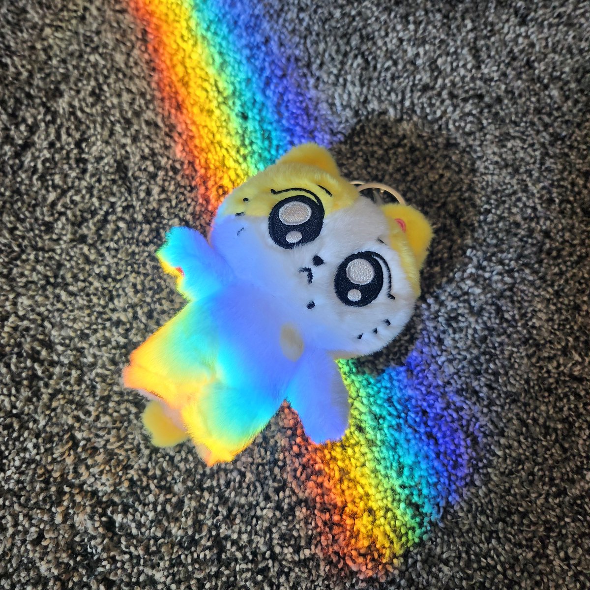 chocomintsunno's tweet photo. Jungwon is being consumed 🌈 https://t.co/5fXNLhNmGc