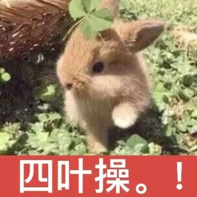 Aoniwa_'s tweet photo. 想了一下自己好像是超级平均的一个人，平均的身高平均的成绩，长的一般般性格一般般，朋友一般般的多家里也一般般的经济，bmi是正常范围内最中间那个数，甚至眼皮都是内双
我想要成为一个在某个方向上很好的一个人，而不是像现在这样什么都会一点，而又什么都不精通 https://t.co/sBx9xkrtuH