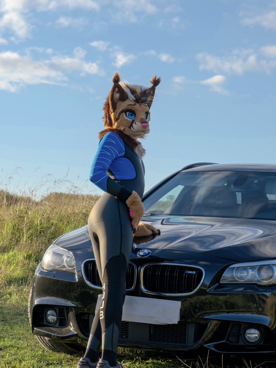 CoTJiit's tweet photo. Ultimate meowing experience!

📸: @tuftedkpawzzz
#furry #fursuit #wetsuit #FursuitFriday https://t.co/gKPSfSpqT1