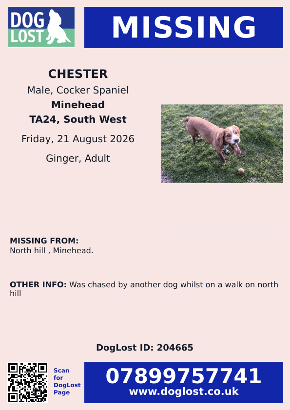 millypod1's tweet photo. ๐21 AUG 2026 #Lost Chester #ScanMe
Cocker Spaniel Male
North Hill #Minehead #Somerset #TA24
Was chased by another dog whilst on a walk
on North Hill
https://t.co/XoeeuS57yB https://t.co/koW2nrr8nv
