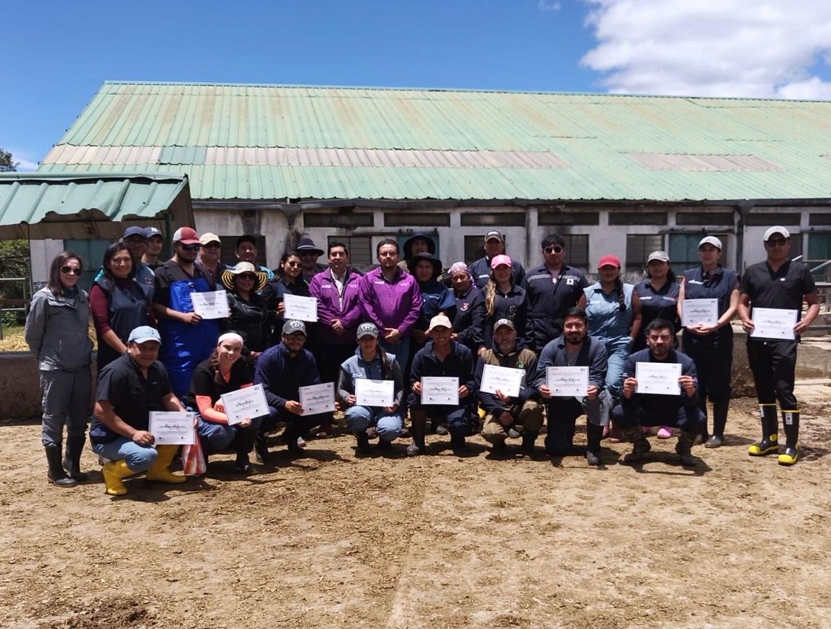 AgrocalidadEC's tweet photo. 🐄 | #PrevenciónSanitaria

¡Culminamos con éxito el VII Curso de Habilitación para Médicos Veterinarios del Programa Nacional de Prevención y Control de Brucelosis Bovina! 🎓

Más de 75 profesionales fortalecieron sus capacidades técnicas y recibieron su certificación para contribuir desde territorio a la prevención y control de esta enfermedad.

Seguimos fortaleciendo la sanidad animal y al sector ganadero del Ecuador.

#ProtegemosElAgroEcuatoriano 💪🏽