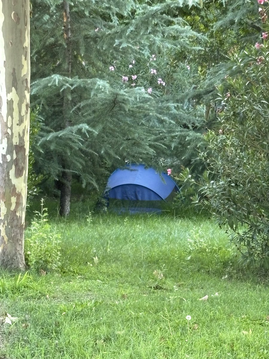 Jirodriguezg's tweet photo. @CandeTesta está permitido acampar en los parques de #Alcorcón ?? Está foto de hoy mismo en parque los castillos @PoliciaAlcorcon https://t.co/BYuMgqxu7U