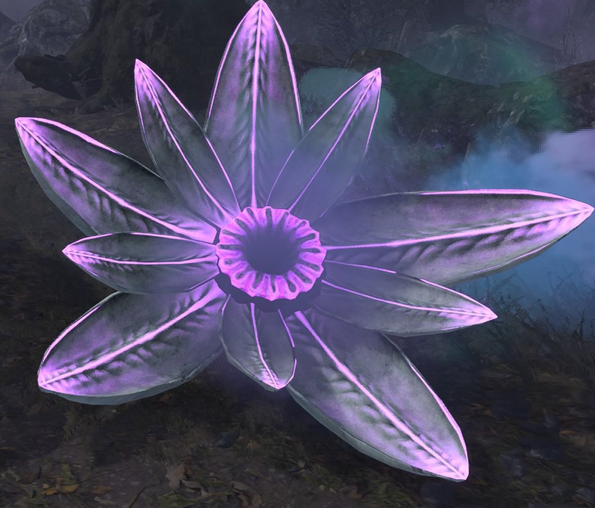 terminid_stlk's tweet photo. So i managed to get one of those void flower's for myself and i'm really curious about how it taste like so i'm gonna eat it https://t.co/1wlwok2EOf
