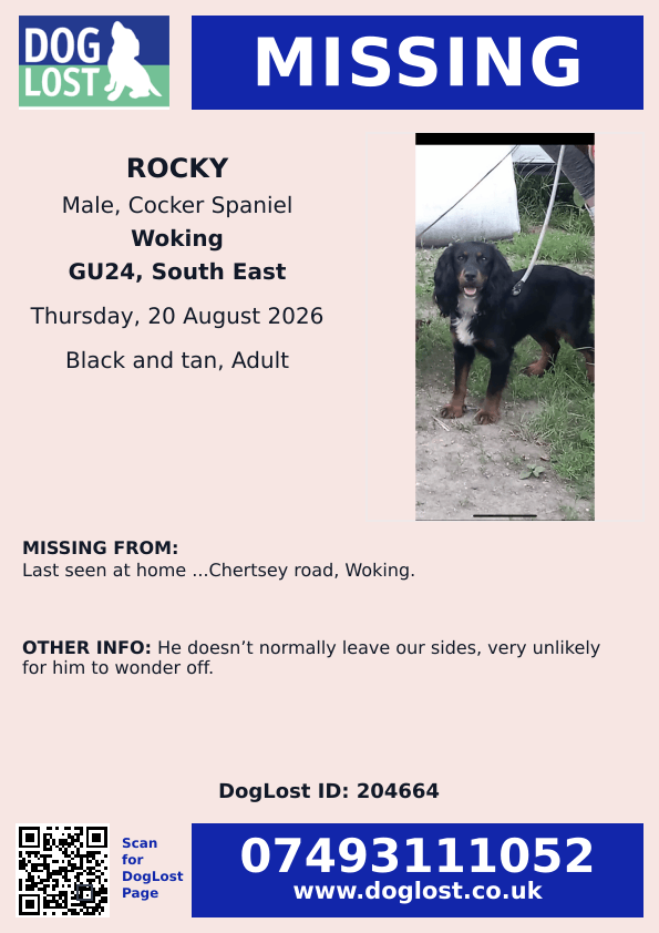 millypod1's tweet photo. 🆘20 AUG 2026 #Lost Rocky #ScanMe
Cocker Spaniel Male
Last seen Chertsey Road #Woking #Chobham #Surrey #GU24
https://t.co/dMLCTtam1f https://t.co/ieNSSiKSJk