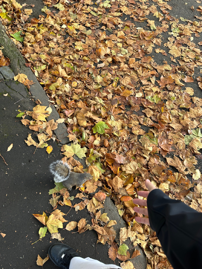 Arielly85641108's tweet photo. Growth isn’t about never stumbling—it’s about learning to dust yourself off and take one more step, even when your legs feel weak. https://t.co/TWR0fp45Dq