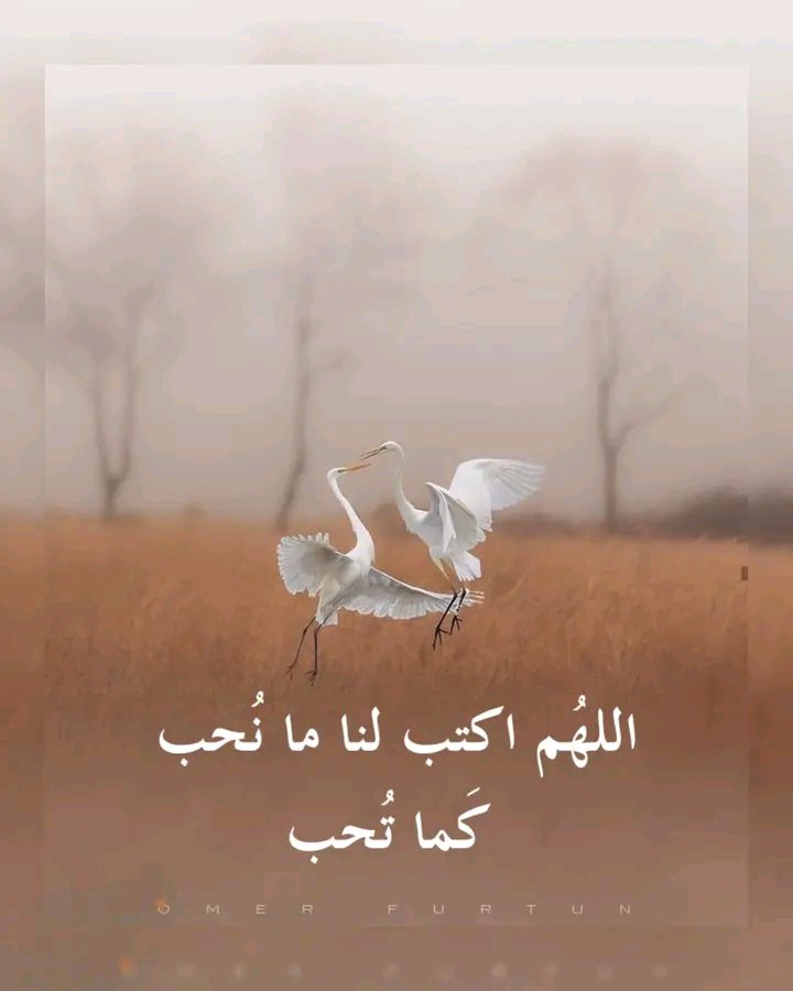 Ja_G19's tweet photo. ﷽
مساء النشاط والتفاعل
لنصنع بداية قوية لهذا المساء فكل إعجاب❤️
وإعادة نشر 🔁
وتعليق 💬
 يساهم في رفع وصول الجميع
 ودعمكم هو سر النجاح فلا تبخلوا علينا بالتفاعل والمشاركة ولكم منا كل الشكر والتقدير 🤍
#بدايــــهہ_نشطه

#جمرة_غلا
@Ja_G19
480

#صنعانية
@mnyr4_
720

دروبڪ͜م توآفيق https://t.co/tsfjNkJZBz