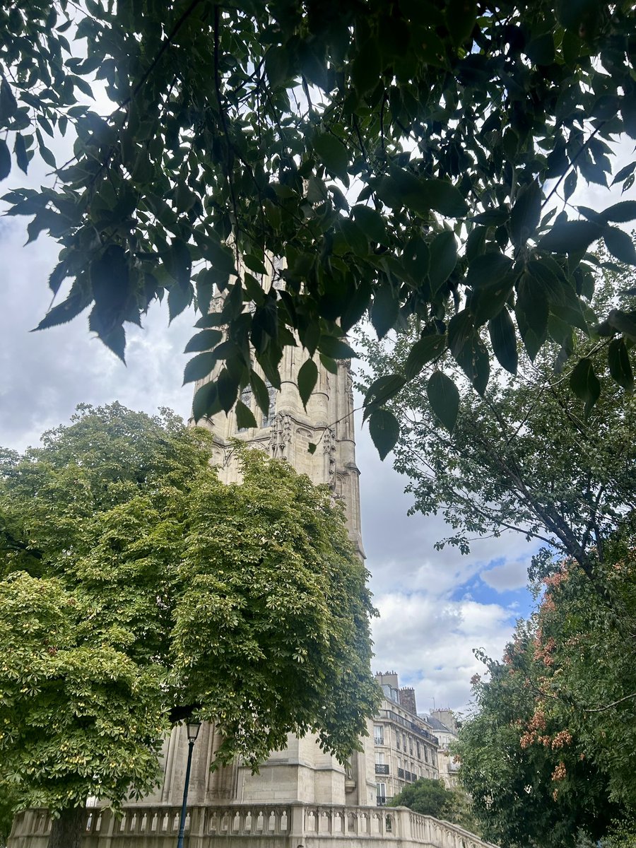 yumeines's tweet photo. Me promener en ville et voir plein d’arbres autour de moi https://t.co/vSufZDogPv