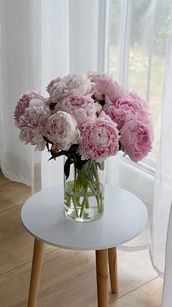 dreamyflowerrs's tweet photo. https://t.co/eO662TI1Uj