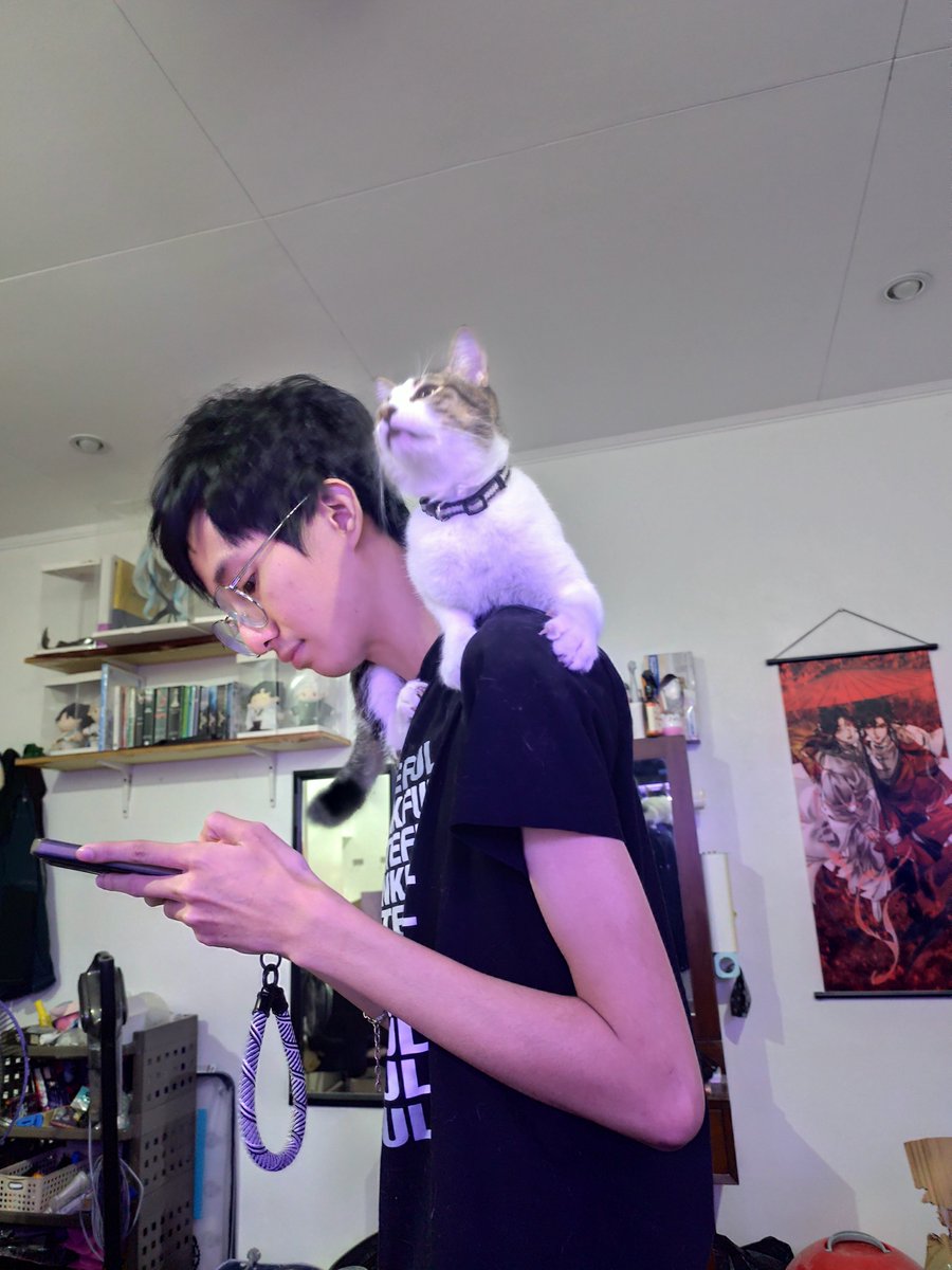 insanitykitty tweet picture