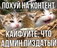 Shatovarina's tweet photo. https://t.co/CJmQQmsAxT
