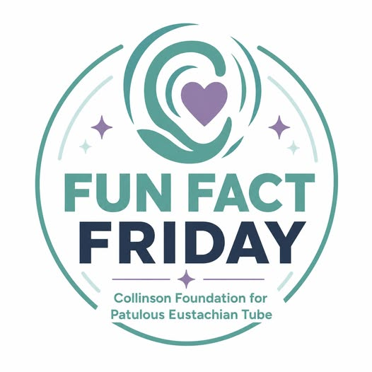 CollinsonFPET's tweet photo. It's Fun Fact Friday, and today's topic is tympanostomy tubes for pETD. Including potential benefits, limitations, tube options, risks, and the key takeaway that tubes treat symptoms but do not cure pETD. See the comments below. https://t.co/JXdaSgOpuX