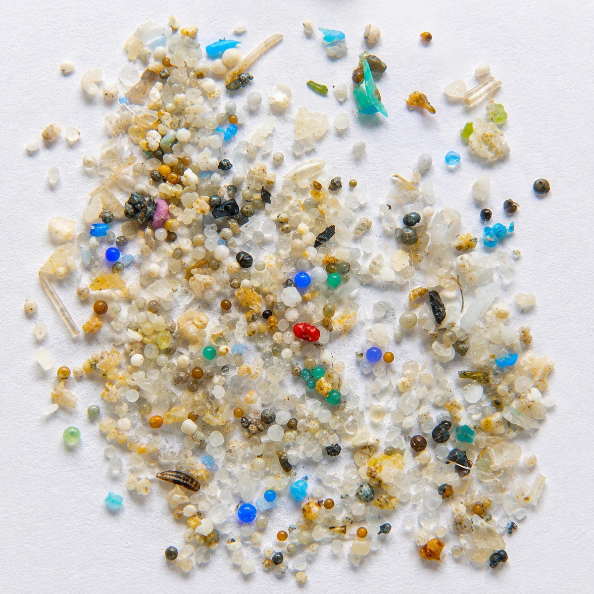 Close-up view of microplastic particles on a white surface. The sample includes tiny beads, fibers and irregular fragments in white, blue, green, red, black and amber.