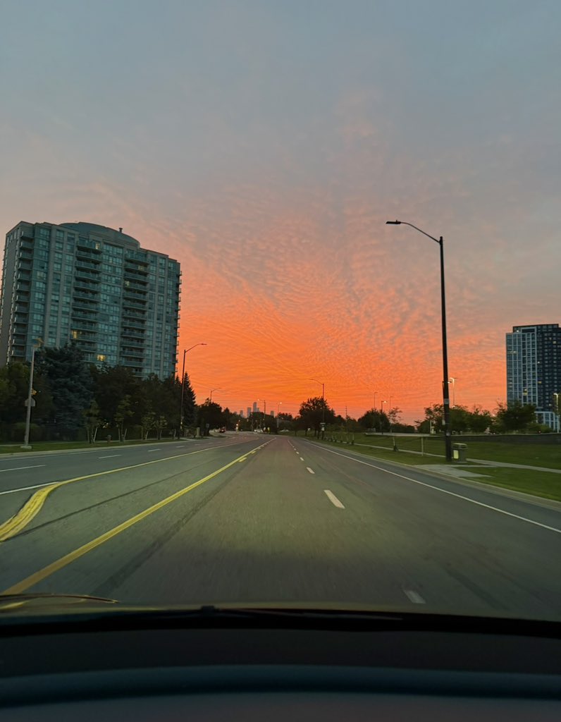 shagufta87_'s tweet photo. Golden hour doing what it does best.
Yesterday morning
#GoldenHourFriday https://t.co/QSw1XJ1lyq
