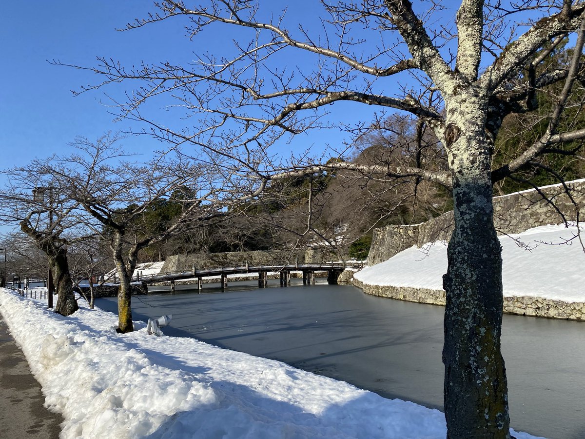 oshirosuki_'s tweet photo. #涼しくなる写真を貼ろう 

凍ったお堀by彦根城🏯 https://t.co/8J8VD6fujy