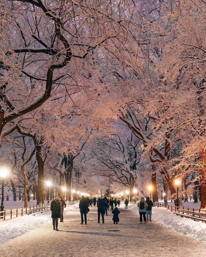 flower6260's tweet photo. Winter in New York https://t.co/DPb50VtZcK
