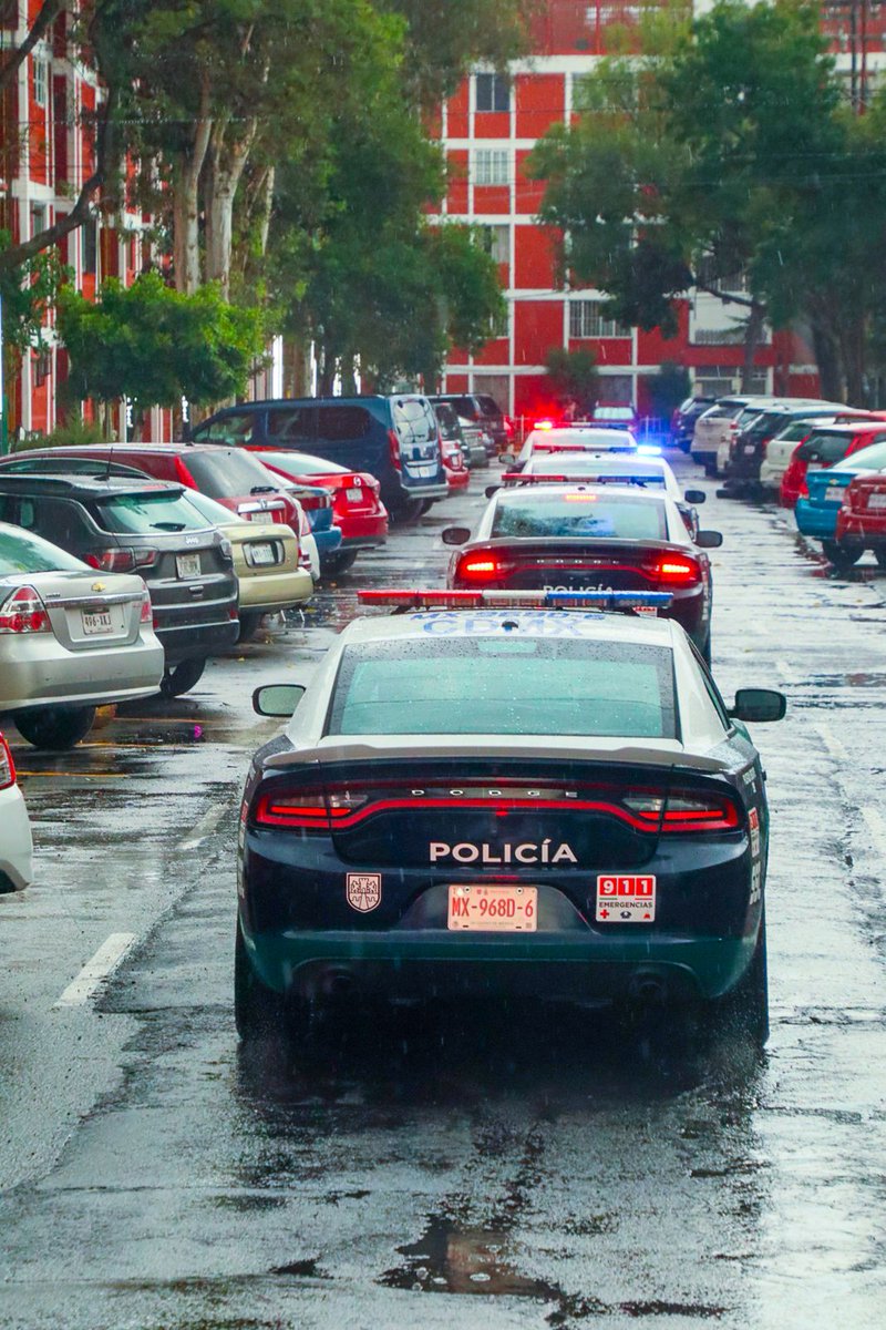 TuAlcaldiaGAM's tweet photo. 🚔🛡️ En Acueducto de Guadalupe reforzamos la seguridad con presencia policial y recorridos preventivos en territorio. 👮🏽‍♂️🚓

Porque la seguridad se construye cerca de la gente, atendiendo y previniendo.

#SeguridadGAM #CeroImpunidad #GobiernoDeTerritorio https://t.co/UstJeWXOld