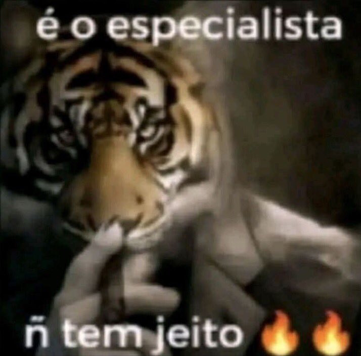 soulfragia's tweet photo. @stelilary eu assumindo morte dos outros e sofrendo pra conseguir mensagem https://t.co/lXjzwth5Bx
