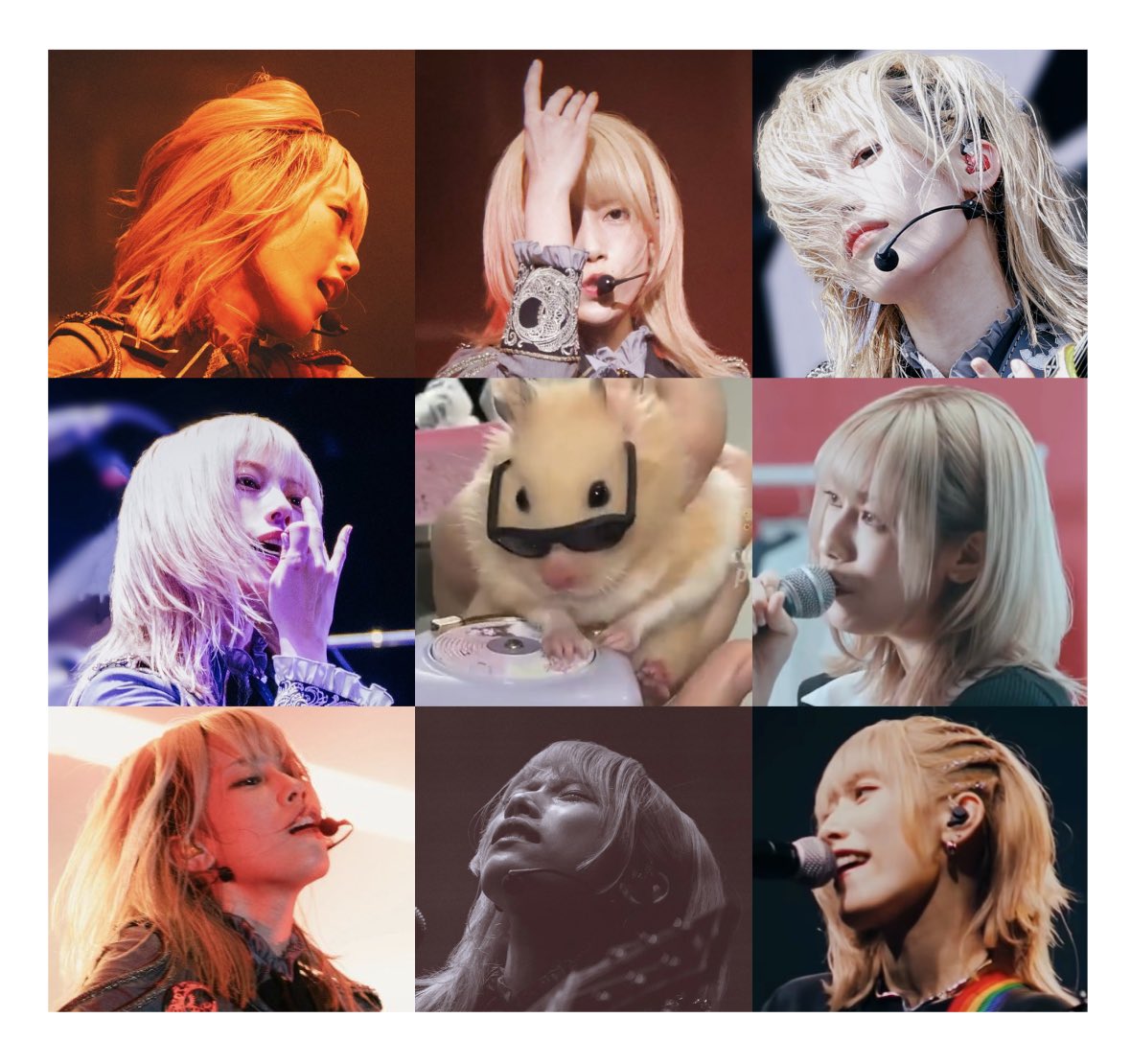 Keine_Haare's tweet photo. 🐹🎤 https://t.co/EQFgM3Dn3K
